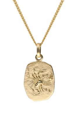 trendor Schmuck Skorpion Sternzeichen Gold 585 mit vergoldeter Silberkette 15436-11