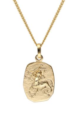trendor Schmuck Schütze Sternzeichen Gold 585 mit vergoldeter Silberkette 15436-12