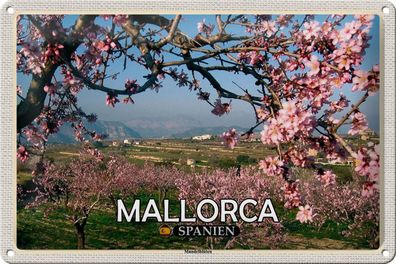 Blechschild Reise 30x20 cm Mallorca Spanien Mandelblüten Deko Schild tin sign