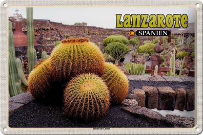 Blechschild Reise 30x20 cm Lanzarote Spanien Jardin de Cactus Garten tin sign