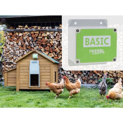 Basic Steuerung für Automatische Hühnertüre