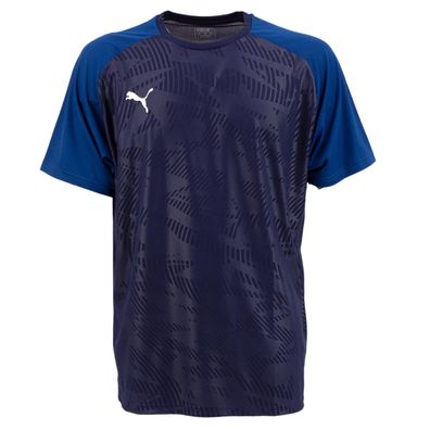 Puma Cup Training Fußball Jersey Trikot Herren CORE Trainingsshirt blau 656027