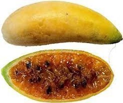 Bananen Passionsfrucht -Leckere Früchte Und Schöne Blüten- * Passiflora Mollissima *