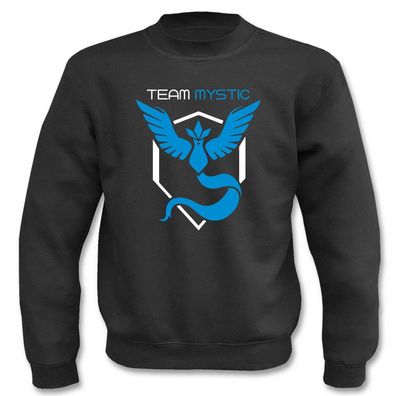Team Blau Symbol Fan Fun Poke Go Weisheit Team Mystic Vintage I Sweatshirt