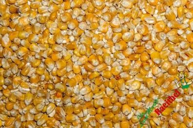 1,40€/ kg) Futtermais 10 kg Körnermais gelber Mais Karpfen Angeln Geflügel Nage
