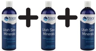 3 x Utah Sea Minerals - 473 ml.