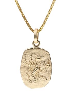 trendor Schmuck Skorpion Sternzeichen Gold 333 mit vergoldeter Silberkette 15382-11