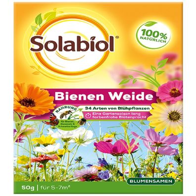 Solabiol Bienenweide 50 g Samen Blumensamen