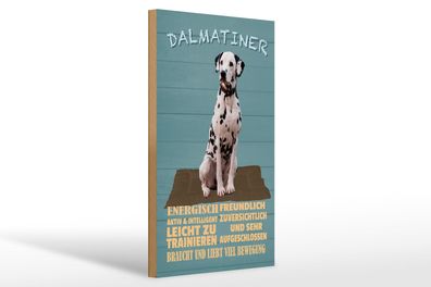 Holzschild Spruch 20x30 cm Dalmatiner Hund energisch aktiv Schild wooden sign