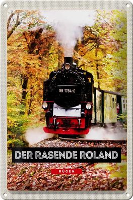 Blechschild Reise 20x30 cm Rügen der rasende Roland Lokomotive Schild tin sign