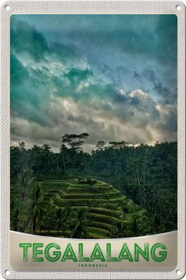 Blechschild Reise 20x30 cm Tegalalang Indonesien Asien Tropen Schild tin sign