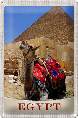 Blechschild Reise 20x30 cm Ägypten Afrika Kamel Wüste Urlaub Schild tin sign