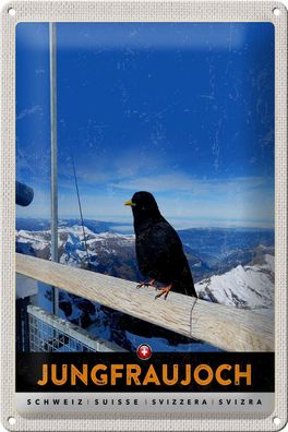 Blechschild Reise 20x30cm Jungfraujoch Schweiz Rabe Winter Natur Schild tin sign