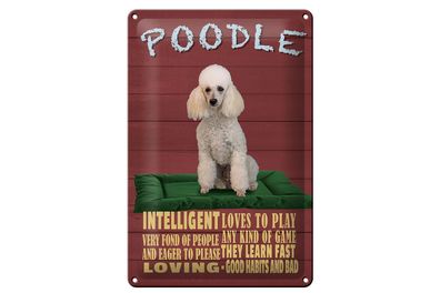 Blechschild Spruch 20x30 cm Hund Poodle loves to play Deko Schild tin sign