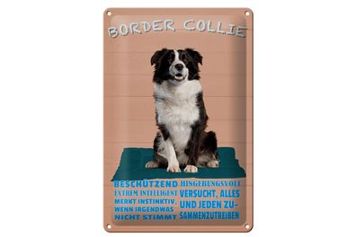 Blechschild Spruch 20x30 cm Border Collie Hund intelligent Deko Schild tin sign
