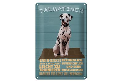 Blechschild Spruch 20x30 cm Dalmatiner Hund energisch aktiv Deko Schild tin sign