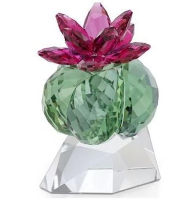 Swarovski Crystal Flowers: Bordeaux CACTUS 5426978 Neuheit 2023