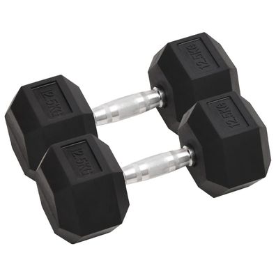 vidaXL Kurzhanteln 2 Stk. 25 kg Gusseisen