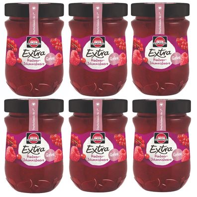 Schwartau Extra Himbeer Johannisbeer Fruchtaufstrich 340g 6er Pack