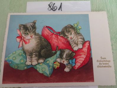alte Postkarten AK SV 1780 verspielte Katzen golden aufgelegter geprägter Schriftzug