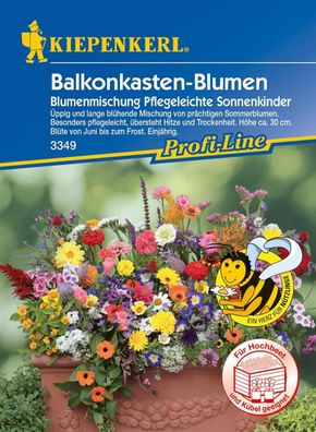 Balkonkasten-Blumen Blumenmischung Pflegeleichte Sonnenkinder
