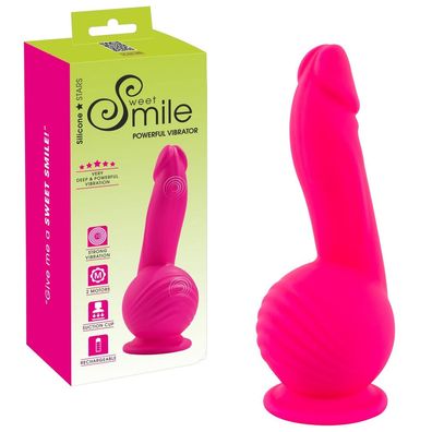 Silikon Penis Vibrator + mit Saugfuß + starke 10 Vibration + Hoden Sexspielzeug