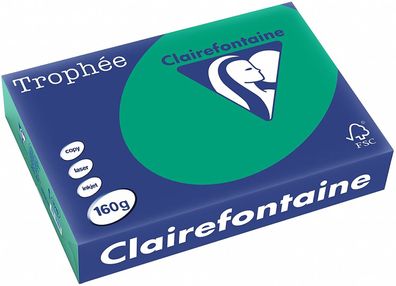 Clairefontaine Trophee Papier 1019C Tannengrün 160g/ m² DIN-A4 - 250 Blatt