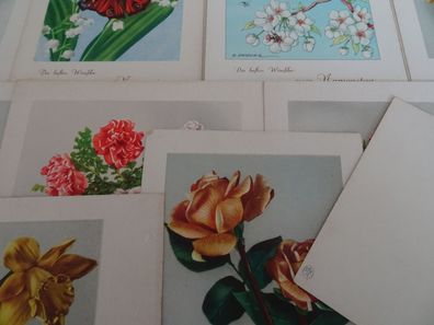 alte Postkarten AK Arthur Krüger AFKH Blumen Tiere Sets M/1326 Namenstag