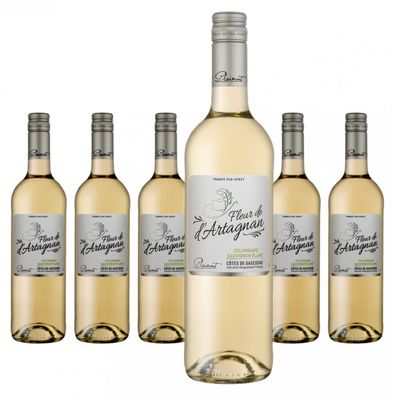 6 x Plaimont Fleur de d'Artagnan Colombard - Sauvignon Blanc Côtes de Gascogne – 2022