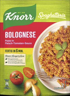 Knorr Spaghetteria Bolognese Nudel 160g Beutel, 10er Pack (10x160g)
