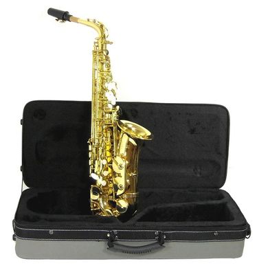 Roy Benson AS-202 Alt Saxophon