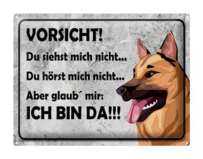 Blechschild Spruch 40x30 cm Vorsicht Hund Du siehst mich nicht Schild tin sign