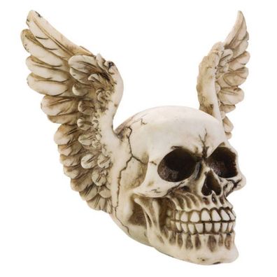 Totenkopf mit großen Flügelohren