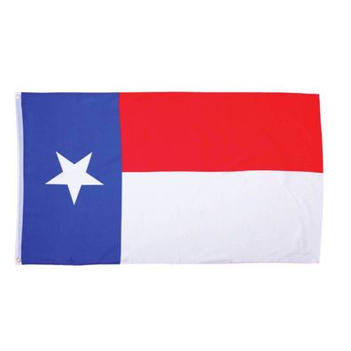 Flagge von Texas - Fahne 90x150cm