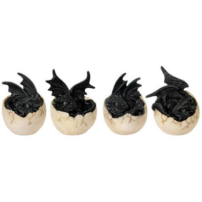 Dracheneier schwarz 4fach sortiert in Eiern liegende Drachen