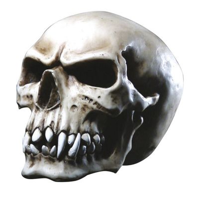 Totenkopf Orc Schädel mit spitzen Zähnen