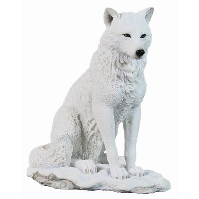 Im Schnee sitzender Polarwolf