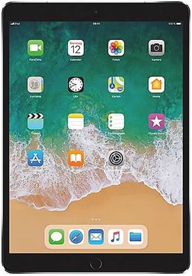 Apple iPad 5. Generation (2017) 32GB Wi-Fi & Cellular Space Grey - Neuwertig