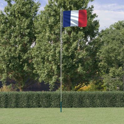 vidaXL Französische Flagge mit Mast 6,23 m Aluminium