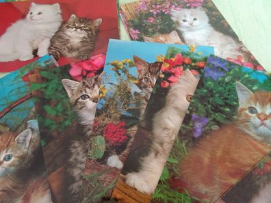 alte Postkarte AK Joseph Lang Color JLM R Hinz Katzen Tiere - Sets