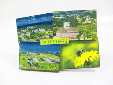 Winterberg Schnee Skisprungschanze Premium Magnet Holz Souvenir Germany (104)