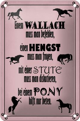 Blechschild Spruch 12x18 cm Pferde Wallah Hengst Pony Stute Deko Schild tin sign