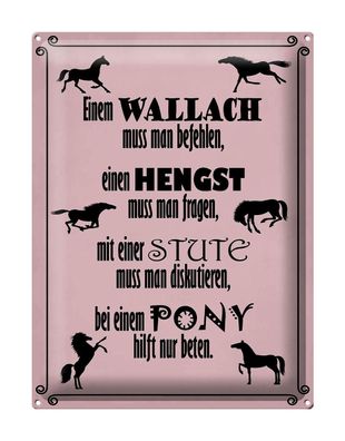 Blechschild Spruch 30x40 cm Pferde Wallah Hengst Pony Stute Deko Schild tin sign