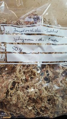 Macodes substrate 50g trockenes Juwelorchideen-Moos / dried jewel orchid moss