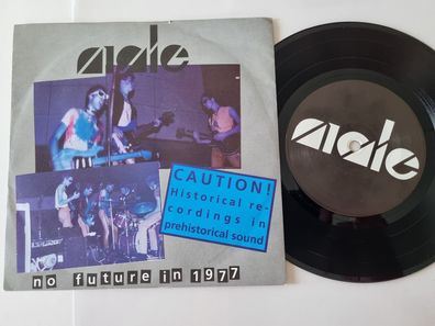 Male - No future in 1977/ Riots hymn 7'' Vinyl Germany