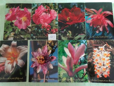 8 alte Postkarte AK PZB Paul Zoecke Glanz Berlin Germany Serie 2436 Blumen Namenstag