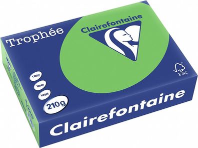 Clairefontaine Trophee Papier Maigrün 210g/ m² DIN-A4 - 250 Blatt
