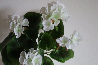 Geranienbusch künstlich, nieder, UV-beständig, Weiß, Höhe 24 cm, Balkonpflanze