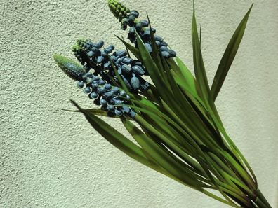 Muscari blau, 5 Stück im Bund künstlich, Traubenhyazinte, Frühlingsdeko