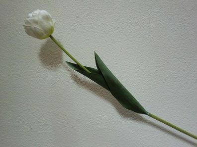 Tulpe langstielig, gefüllt, weiß, franz. Tulpe, künstliche Blume natural touch